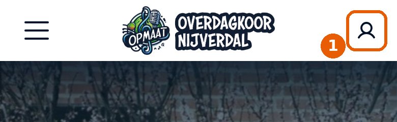 Bovenaan de website, rechts, staat een poppetje. Daar tik je op om in te loggen.